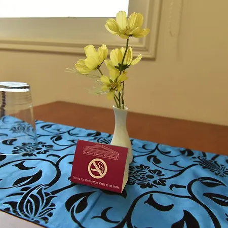 Elysium Capital ניקוסיה