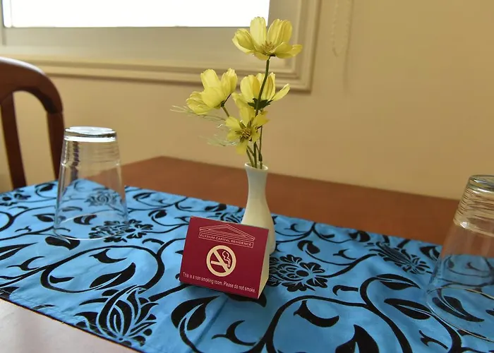 Elysium Capital Nikósie